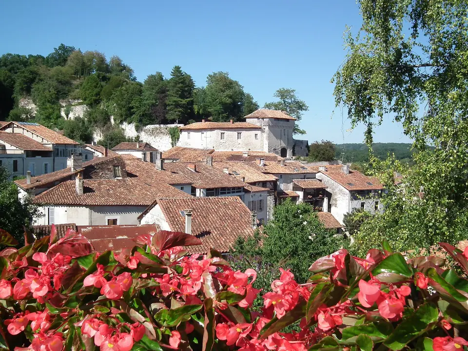 Maisons aux toits de tuiles rouges d'Aubeterre-sur-Dronne étagées sur la colline boisée, avec des bégonias en fleurs au premier plan.